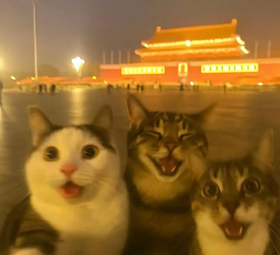 Three smiling cats, taking a selfie with a golden shrine in the background.