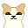 tiny cat sticking out its tingue